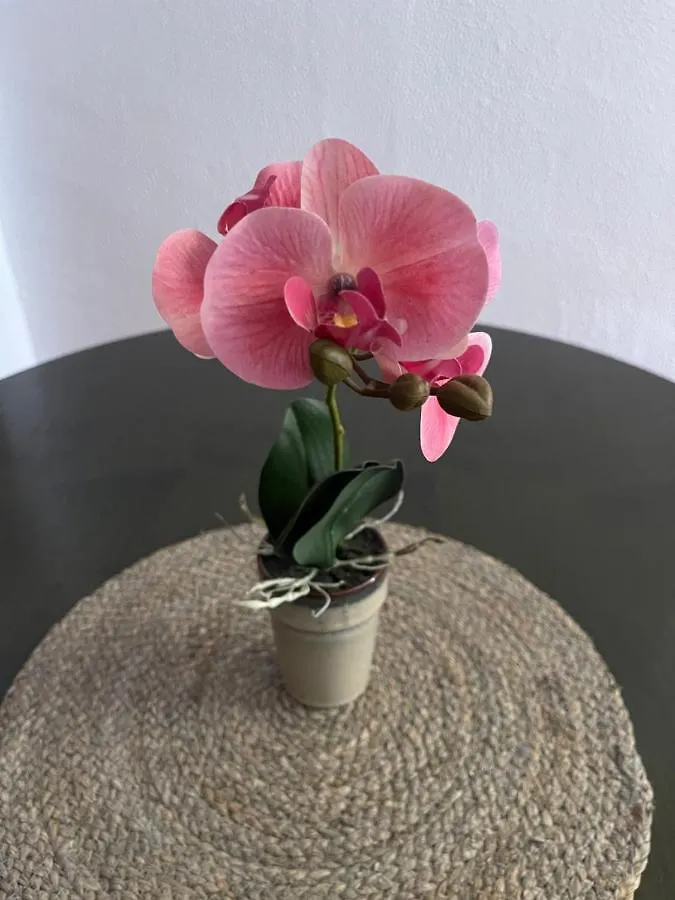 דירה טריפה Apartamentos & Rooms Jp